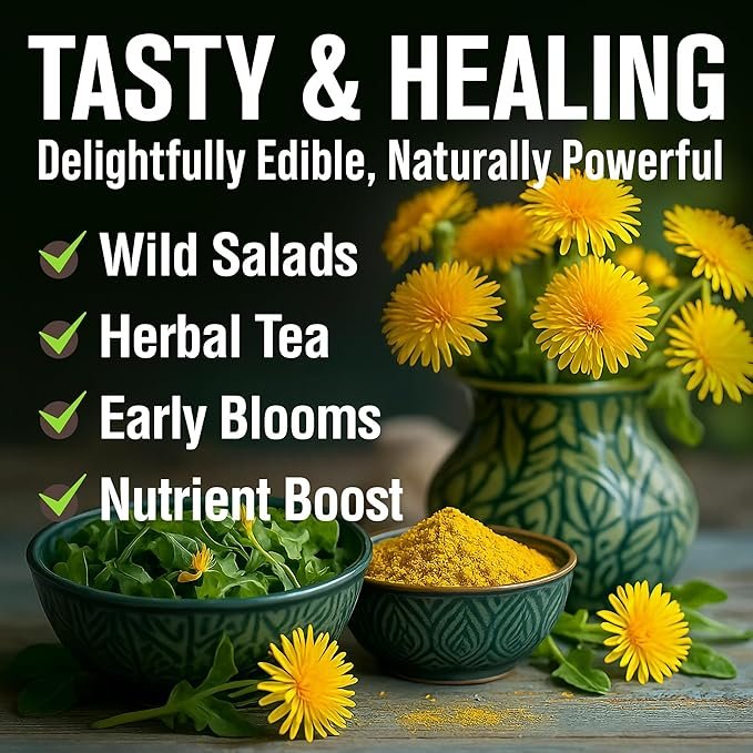 Dandelion Herb Seed