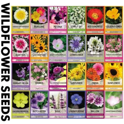 91373874f3b49c9a7216f41e8143d07 Butterfly and Hummingbird Flower Seed Mix - 24-Variety Blend