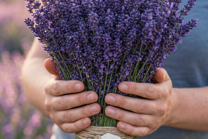 Gemini_Generated_Image_clxl53clxl53clxl_副本 HOME GROWN Non GMO Lavender Seeds Wildflower Seed