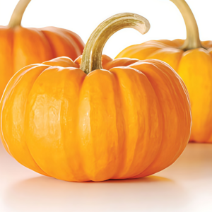 Wan Fu (F1) Pumpkin Seed
