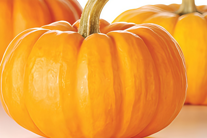 圆南瓜1 Wan Fu (F1) Pumpkin Seed