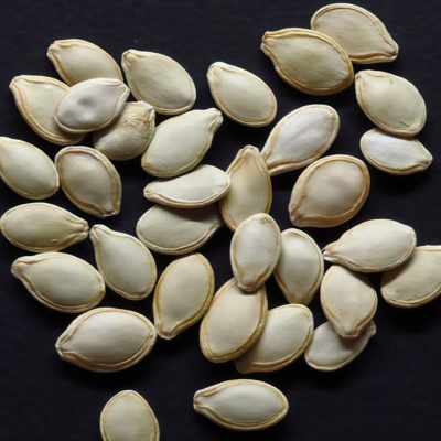 Wan Fu (F1) Pumpkin Seed