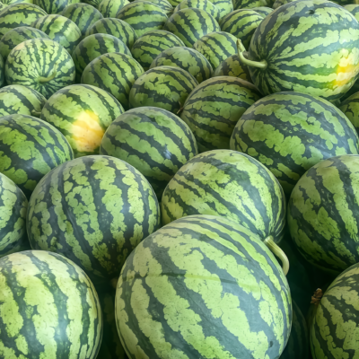 圆西瓜4 Starlight (F1) Watermelon Seed