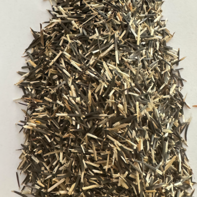 孔雀草5 Durango Outback Mix Marigold Seed