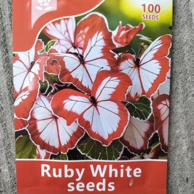 Butterfly Leaf Geranium Seeds - 100 Seeds