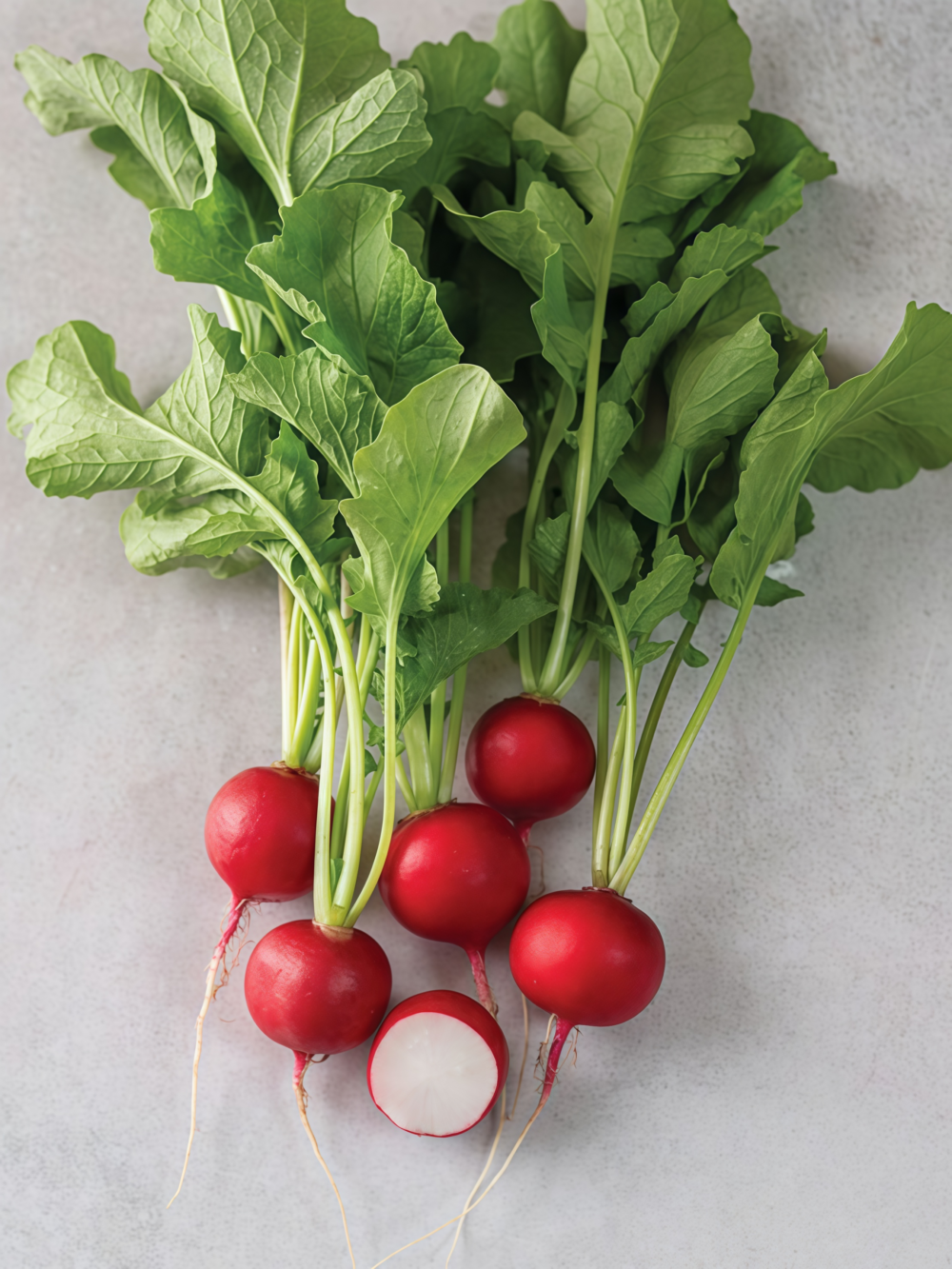 Sora Organic Radish Seed