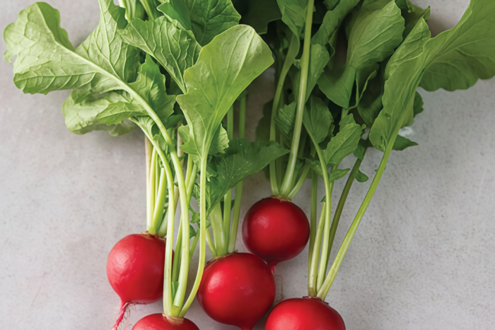 樱桃萝卜4 Sora Organic Radish Seed