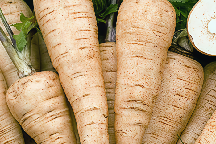 欧防风1 Dagger (F1) Parsnip Seed