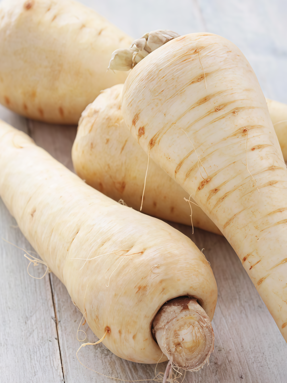 Dagger (F1) Parsnip Seed