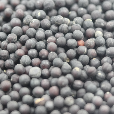 满天星5 Covent Garden Market Gypsophila Seed