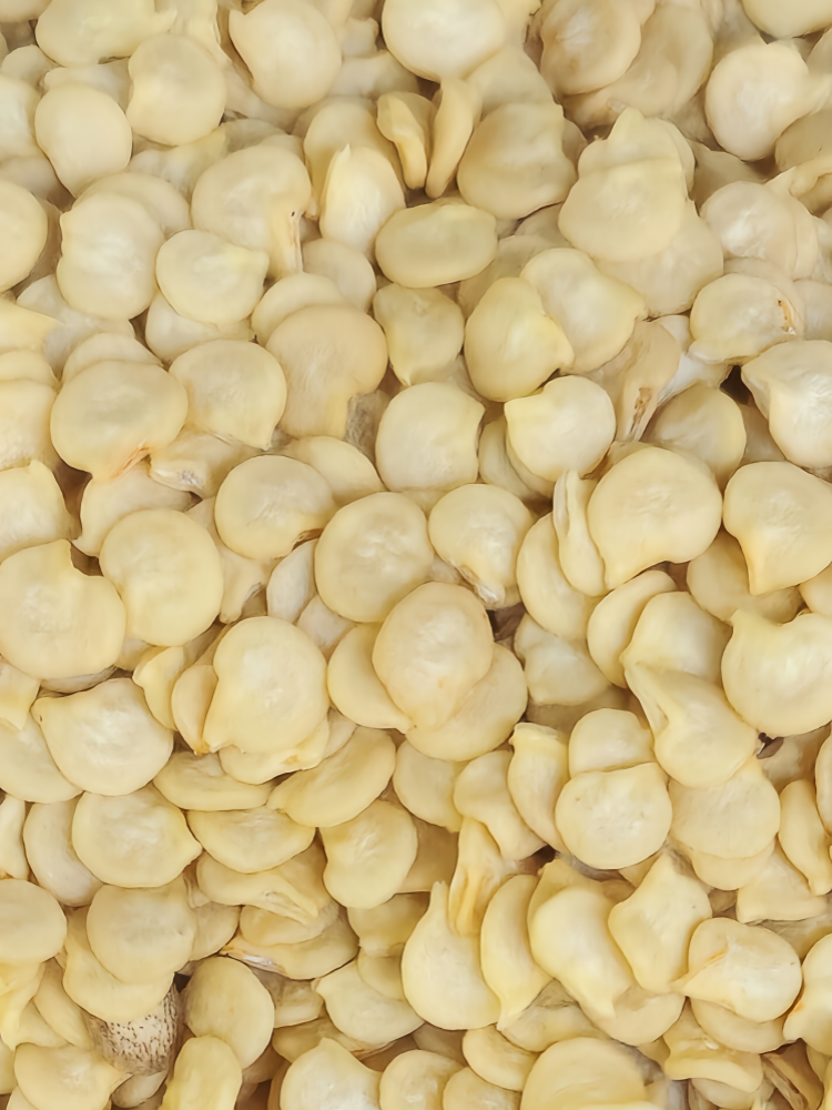 甜椒5 Nitro (F1) Bell Pepper Seed