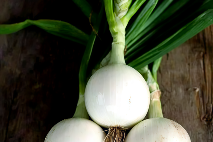 白洋葱1 T-448 (F1) Onion Seed