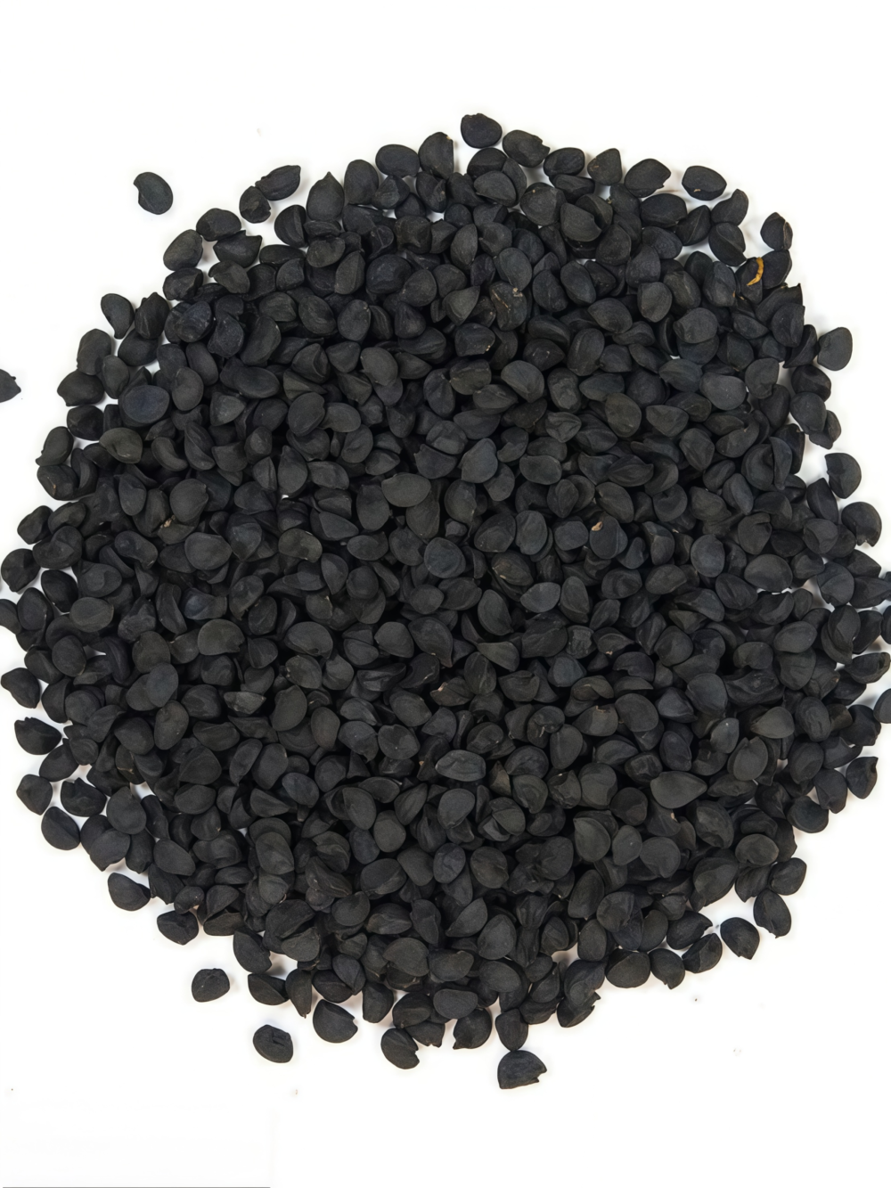 T-448 (F1) Onion Seed