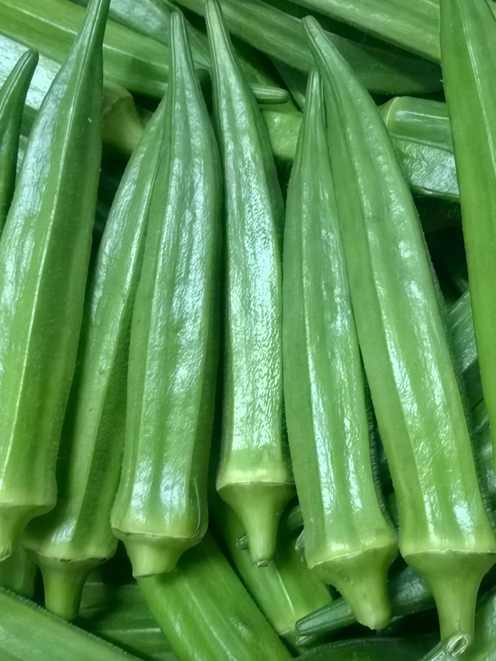 秋葵3 Clemson Spineless Organic Okra Seed