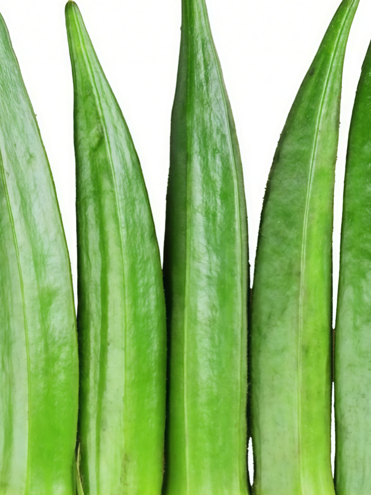 秋葵4 Clemson Spineless Organic Okra Seed