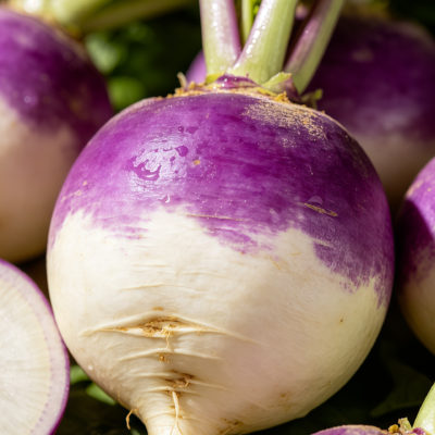紫顶芜菁4 Purple Top White Globe Organic Turnip Seed