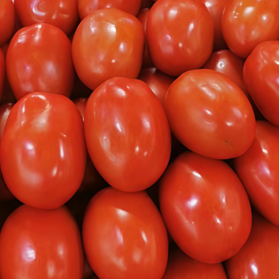 Amish Paste Organic Tomato Seed
