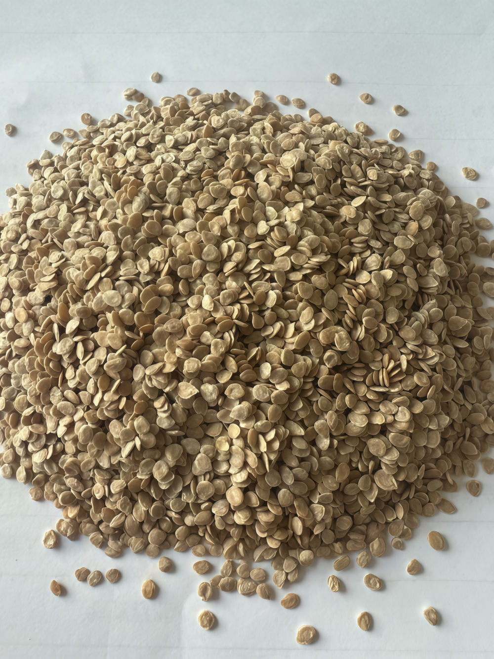 Amish Paste Organic Tomato Seed