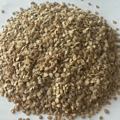 Amish Paste Organic Tomato Seed