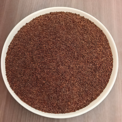 Winterbor (F1) Kale Seed