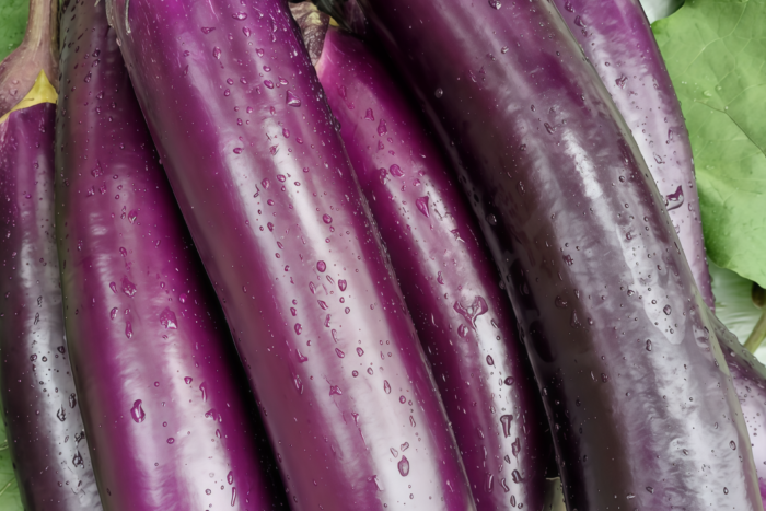 茄子1 Turkish Delight Organic (F1) Eggplant Seed