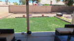 High-Quality Mixed Lawn Seed - Sun & Shade Formula - 8 oz