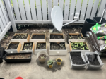 35 Premium Vegetable Seed Variety Pack
