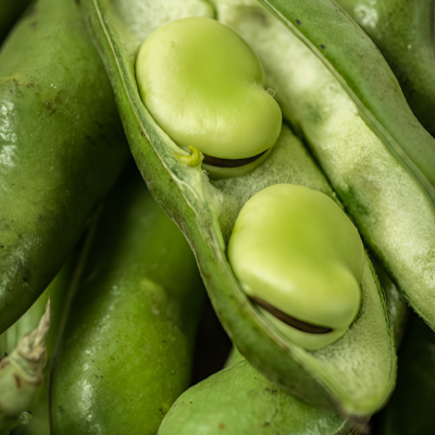 Vroma Bean Seed