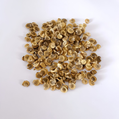 Peaches 'n' Dreams (OP) Hollyhock Seed