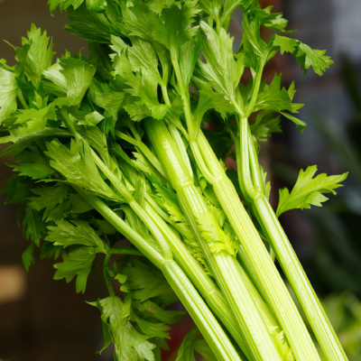 Tango Organic Pelleted Celery Seed