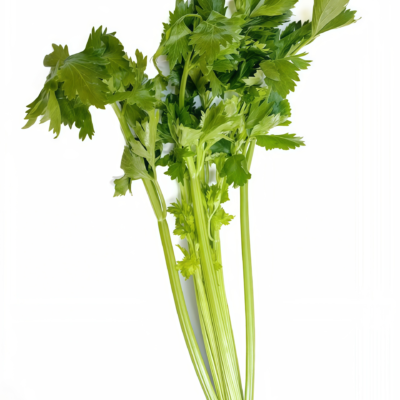 Tango Organic Pelleted Celery Seed