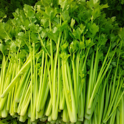 Tango Organic Pelleted Celery Seed
