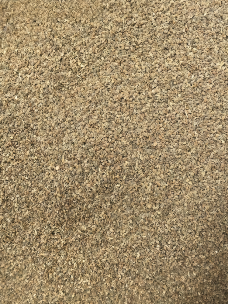 Tango Organic Pelleted Celery Seed