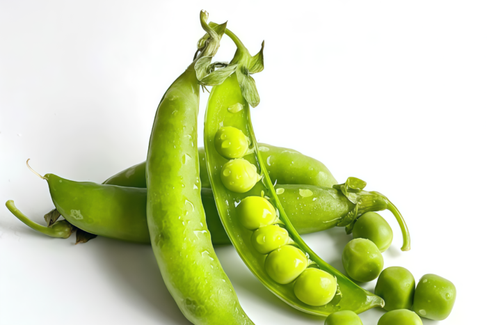 豌豆1 Maxigolt Pea Seed