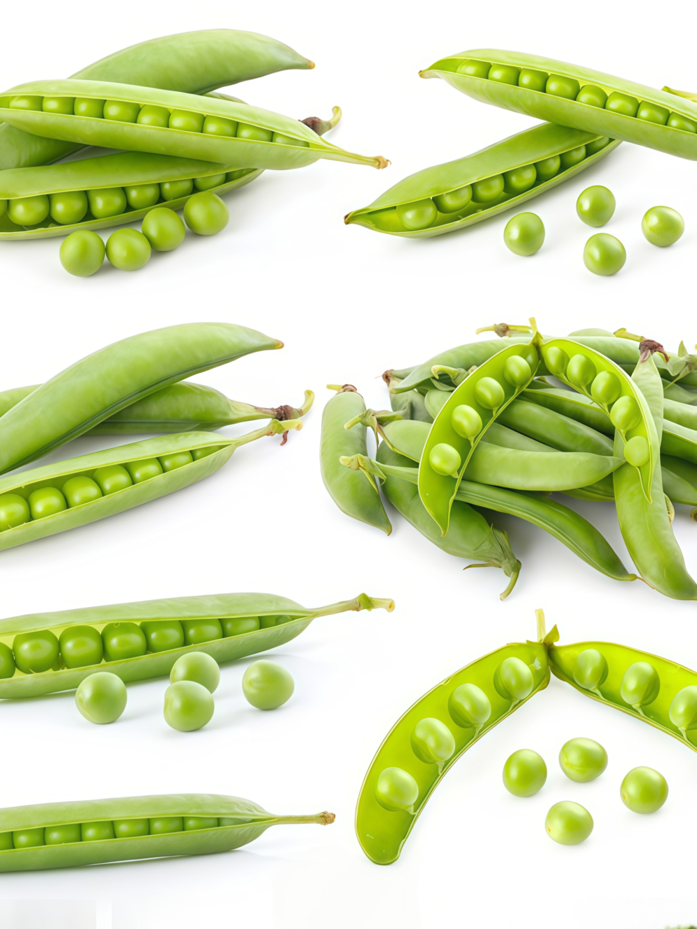 豌豆4 Maxigolt Pea Seed