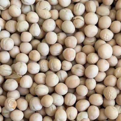 豌豆5 Maxigolt Pea Seed