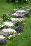 Premium Wildflower Mix Seeds: 134,000 Seeds Per Bag