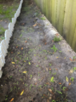 110,600+ Wildflower Seeds - 25 Annual Mix