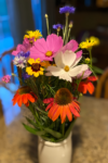110,600+ Wildflower Seeds - 25 Annual Mix